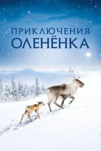 Приключения оленёнка (2018)