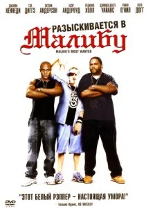 Разыскиваются в Малибу (2003)